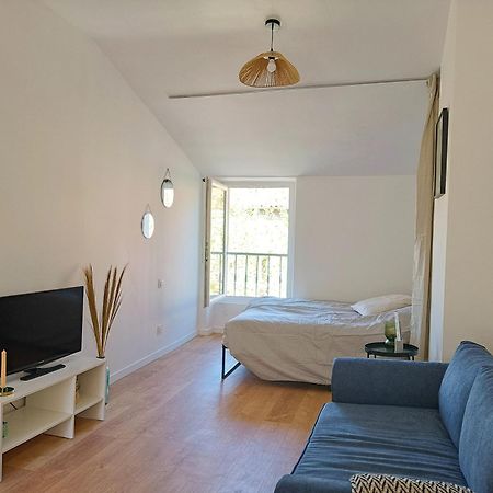 Cosy Studio - Heart Of Millau Exterior photo